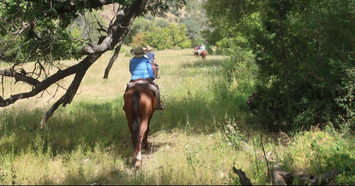 4 Quick Ways To Help You Choose Your Dream Dude Ranch Vacation | Top50 ...